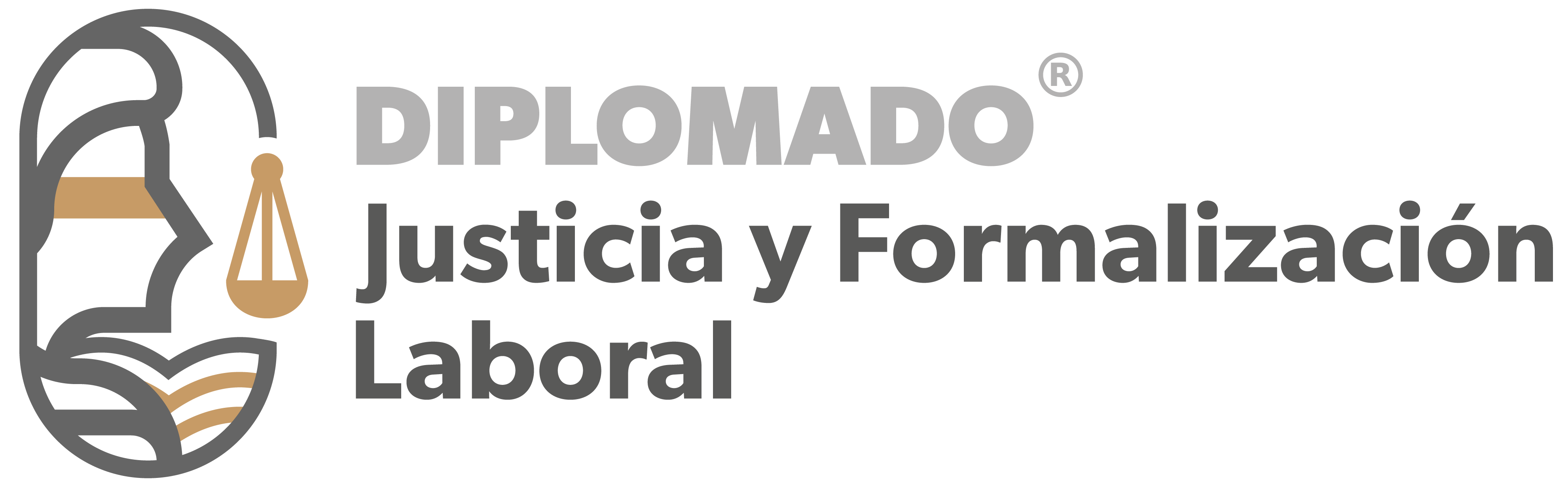 Diplomado en Justicia y Formalización Laboral